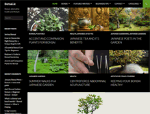 Tablet Screenshot of bonsai.ie